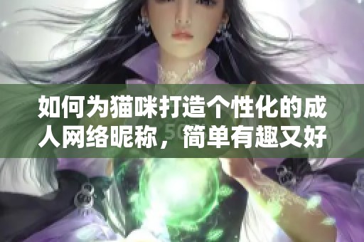 如何为猫咪打造个性化的成人网络昵称，简单有趣又好记