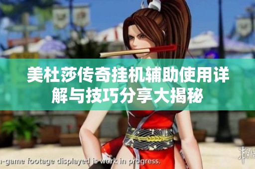 美杜莎传奇挂机辅助使用详解与技巧分享大揭秘