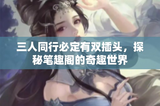 三人同行必定有双插头，探秘笔趣阁的奇趣世界