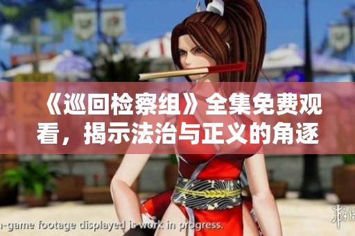《巡回检察组》全集免费观看，揭示法治与正义的角逐故事