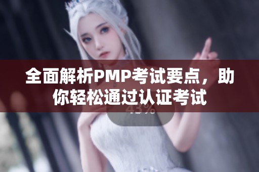 全面解析PMP考试要点，助你轻松通过认证考试