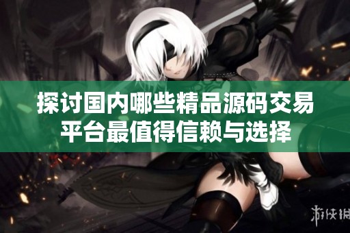 探讨国内哪些精品源码交易平台最值得信赖与选择
