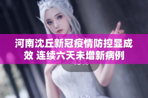 河南沈丘新冠疫情防控显成效 连续六天未增新病例