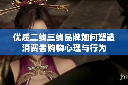 优质二线三线品牌如何塑造消费者购物心理与行为