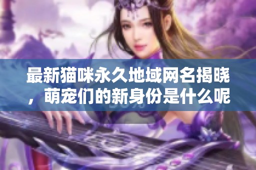 最新猫咪永久地域网名揭晓，萌宠们的新身份是什么呢