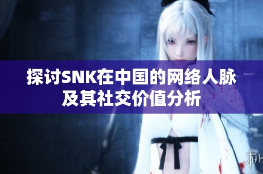 探讨SNK在中国的网络人脉及其社交价值分析