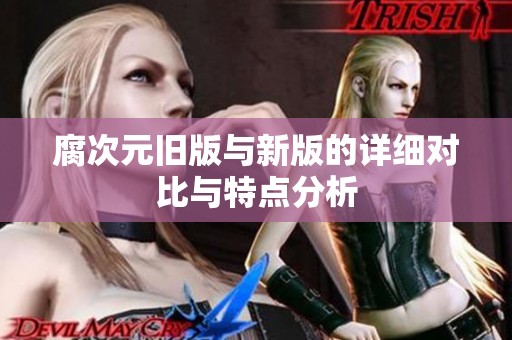 腐次元旧版与新版的详细对比与特点分析