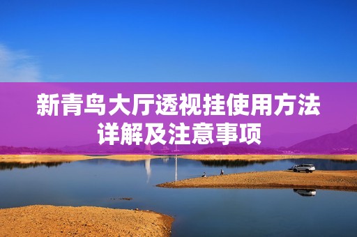 新青鸟大厅透视挂使用方法详解及注意事项