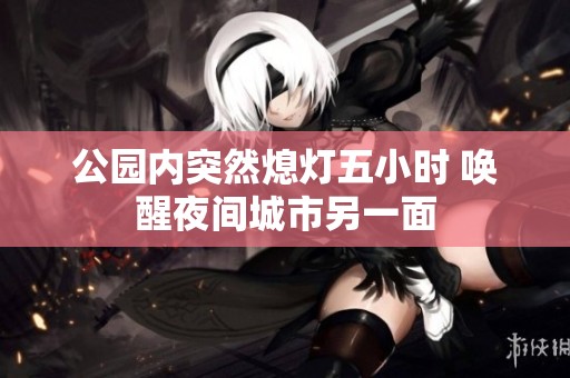 公园内突然熄灯五小时 唤醒夜间城市另一面