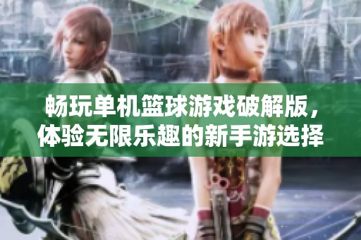 畅玩单机篮球游戏破解版，体验无限乐趣的新手游选择