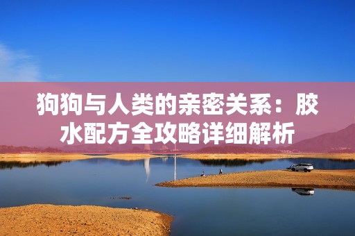 狗狗与人类的亲密关系：胶水配方全攻略详细解析