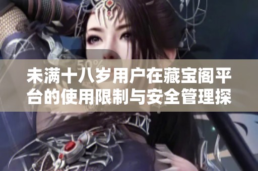 未满十八岁用户在藏宝阁平台的使用限制与安全管理探讨