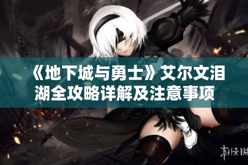 《地下城与勇士》艾尔文泪湖全攻略详解及注意事项
