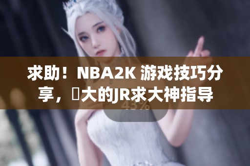 求助！NBA2K 游戏技巧分享，屌大的JR求大神指导