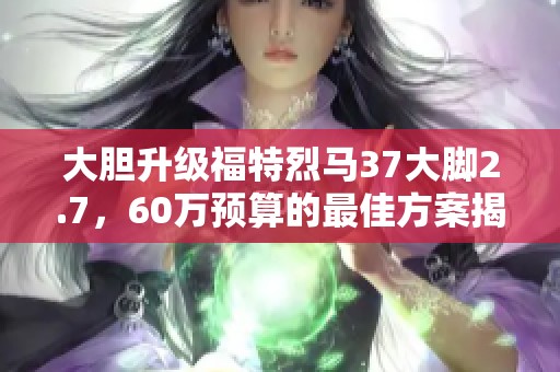 大胆升级福特烈马37大脚2.7，60万预算的最佳方案揭秘