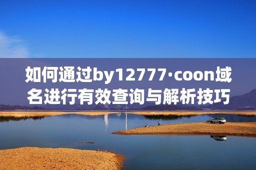 如何通过by12777·coon域名进行有效查询与解析技巧