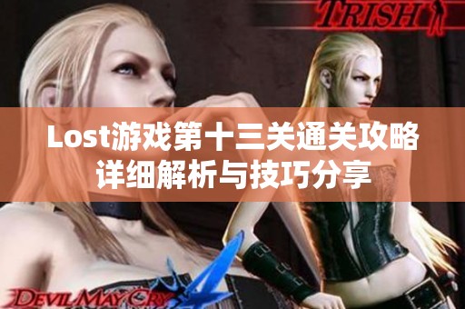 Lost游戏第十三关通关攻略详细解析与技巧分享