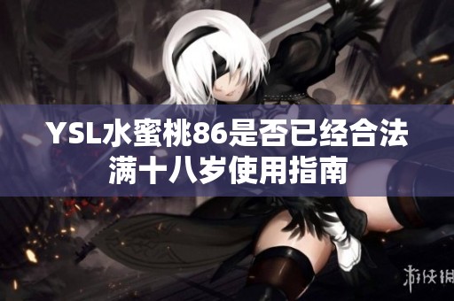 YSL水蜜桃86是否已经合法满十八岁使用指南