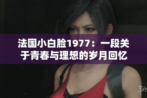 法国小白脸1977：一段关于青春与理想的岁月回忆