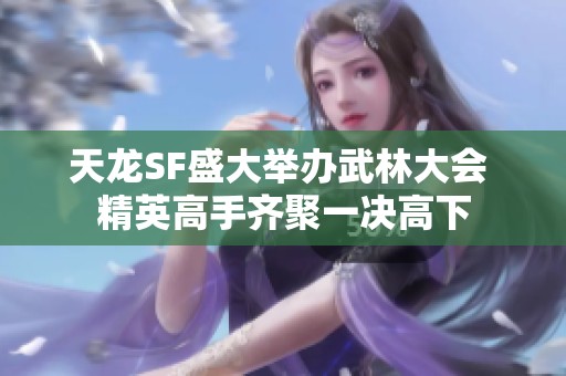 天龙SF盛大举办武林大会 精英高手齐聚一决高下