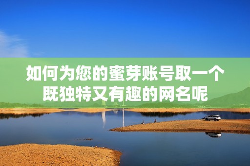 如何为您的蜜芽账号取一个既独特又有趣的网名呢