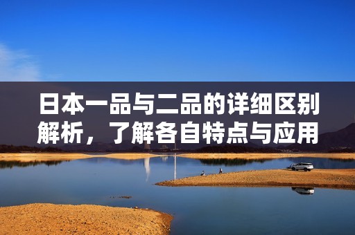 日本一品与二品的详细区别解析，了解各自特点与应用场景