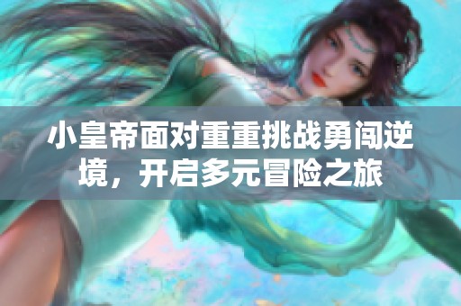 小皇帝面对重重挑战勇闯逆境，开启多元冒险之旅