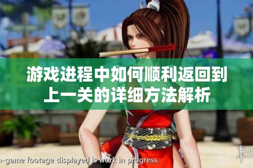 游戏进程中如何顺利返回到上一关的详细方法解析