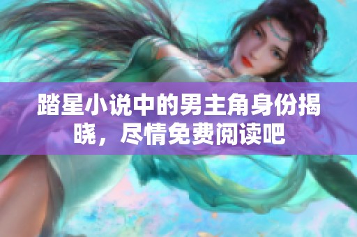 踏星小说中的男主角身份揭晓，尽情免费阅读吧