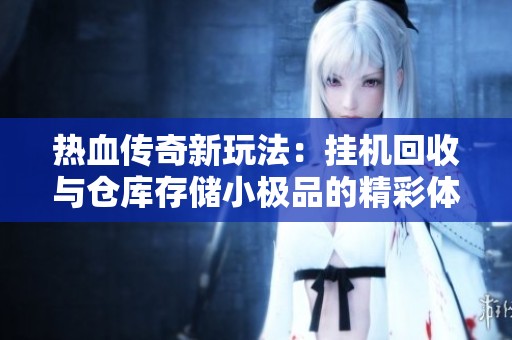 热血传奇新玩法：挂机回收与仓库存储小极品的精彩体验