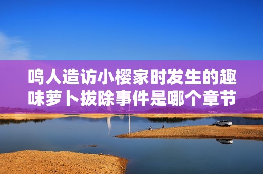 鸣人造访小樱家时发生的趣味萝卜拔除事件是哪个章节