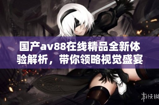 国产av88在线精品全新体验解析，带你领略视觉盛宴