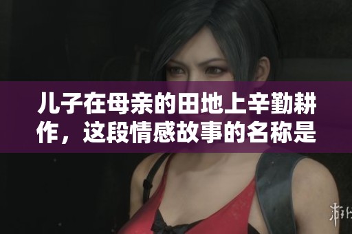 儿子在母亲的田地上辛勤耕作，这段情感故事的名称是什么
