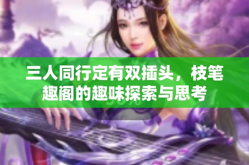 三人同行定有双插头，枝笔趣阁的趣味探索与思考