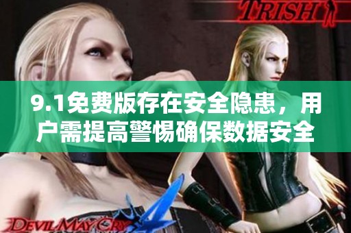 9.1免费版存在安全隐患，用户需提高警惕确保数据安全