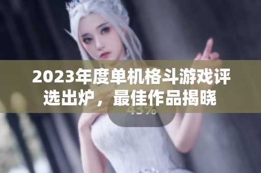 2023年度单机格斗游戏评选出炉，最佳作品揭晓