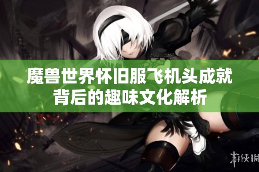 魔兽世界怀旧服飞机头成就背后的趣味文化解析