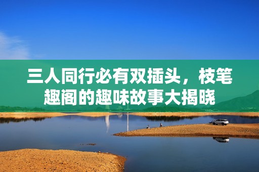 三人同行必有双插头，枝笔趣阁的趣味故事大揭晓