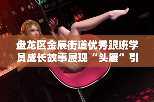 盘龙区金辰街道优秀跟班学员成长故事展现“头雁”引领力量