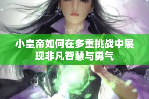 小皇帝如何在多重挑战中展现非凡智慧与勇气