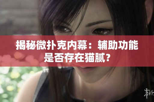 揭秘微扑克内幕：辅助功能是否存在猫腻？