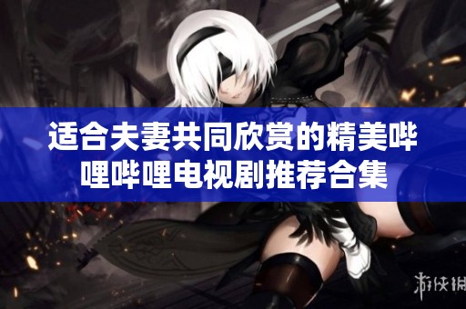 适合夫妻共同欣赏的精美哔哩哔哩电视剧推荐合集