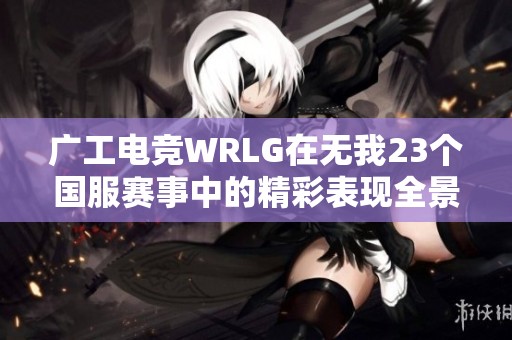 广工电竞WRLG在无我23个国服赛事中的精彩表现全景回顾