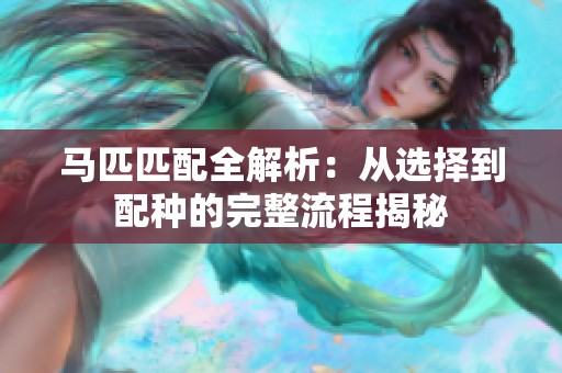 马匹匹配全解析：从选择到配种的完整流程揭秘