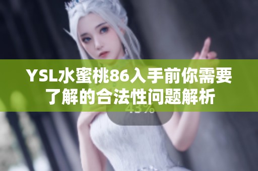 YSL水蜜桃86入手前你需要了解的合法性问题解析