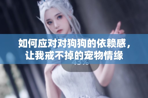 如何应对对狗狗的依赖感，让我戒不掉的宠物情缘