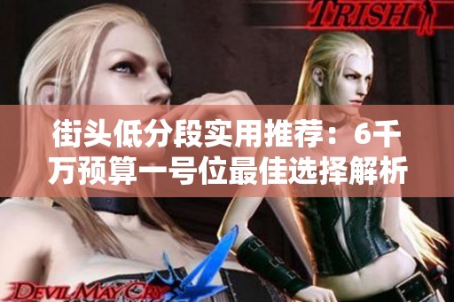 街头低分段实用推荐：6千万预算一号位最佳选择解析