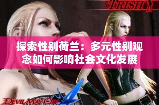 探索性别荷兰：多元性别观念如何影响社会文化发展