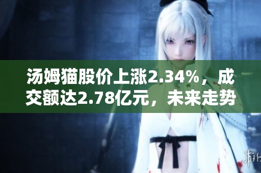汤姆猫股价上涨2.34%，成交额达2.78亿元，未来走势如何分析？