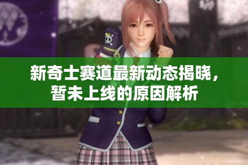 新奇士赛道最新动态揭晓，暂未上线的原因解析